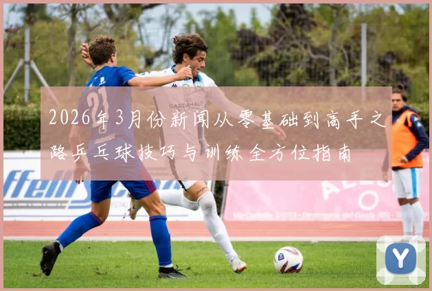 2026年3月份新闻从零基础到高手之路乒乓球技巧与训练全方位指南