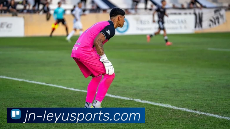 乐鱼最新版服务体系